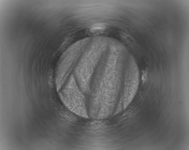 X0000062790867200601051043