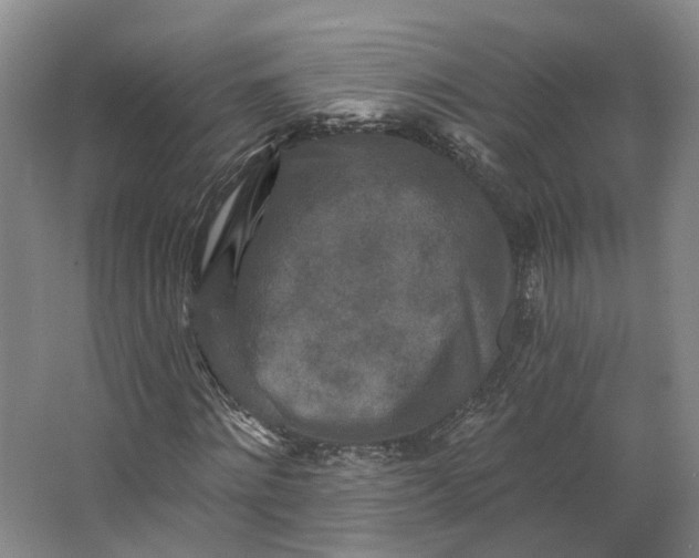 X0000062790868200601051043