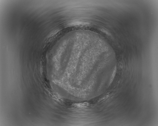 X0000062790869200601051043