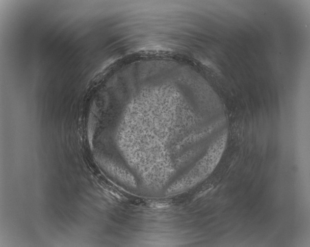 X0000062790870200601051043