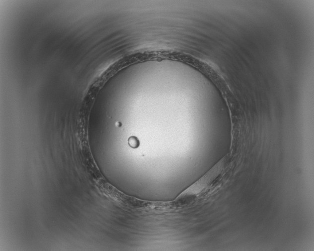 X0000062790871200601051043