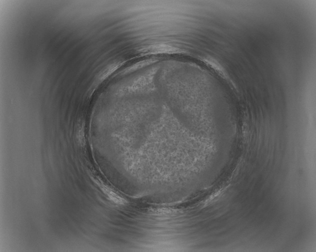 X0000062790873200601051043