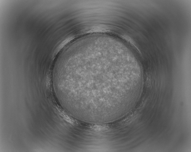 X0000062790874200601051043