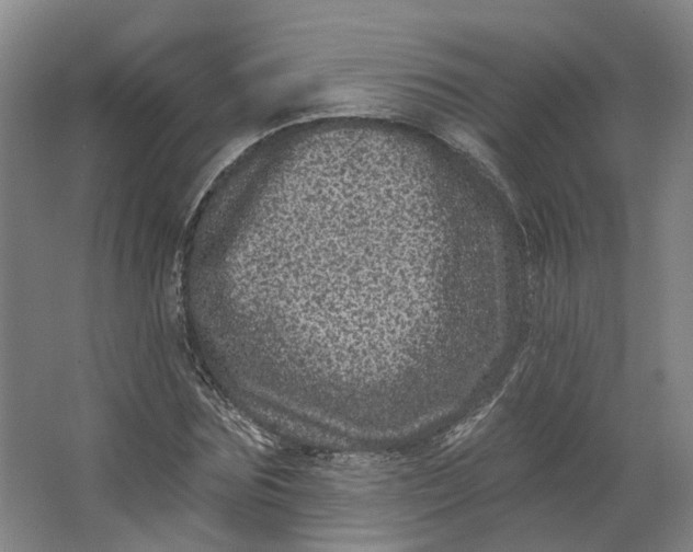 X0000062790875200601051043