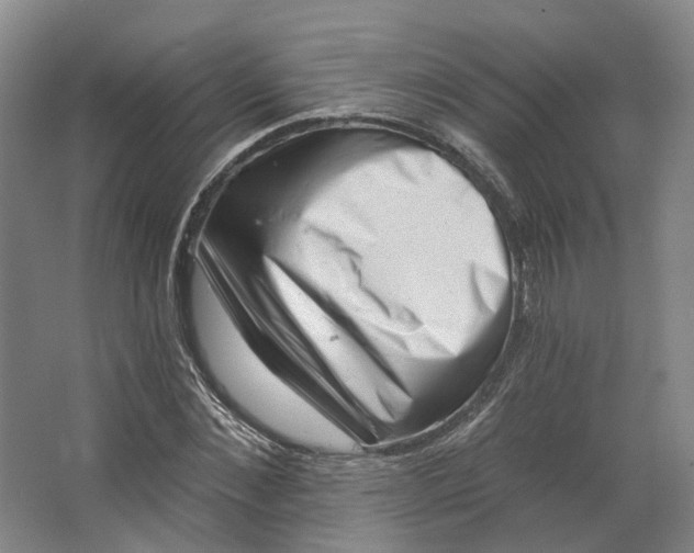 X0000062790876200601051043