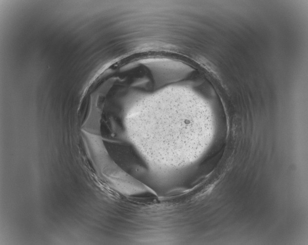 X0000062790877200601051043