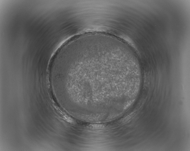 X0000062790878200601051043