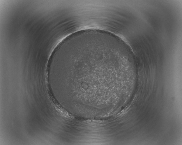 X0000062790879200601051043