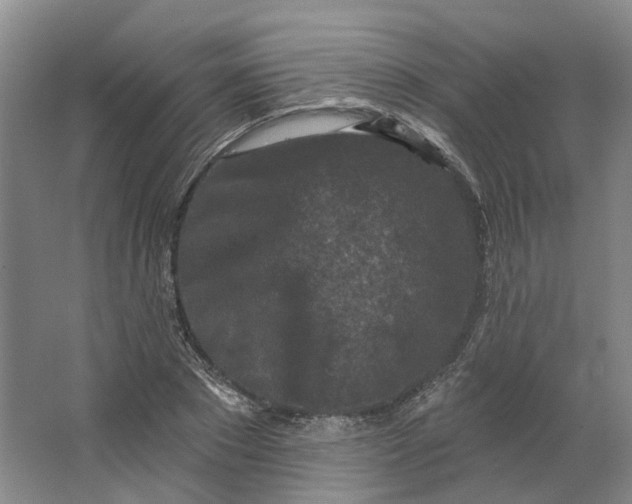 X0000062790881200601051043