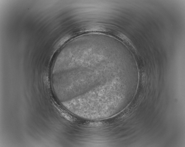 X0000062790882200601051043