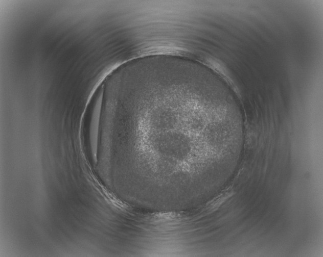 X0000062790883200601051043