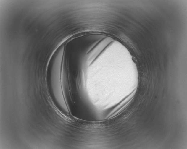 X0000062790884200601051043