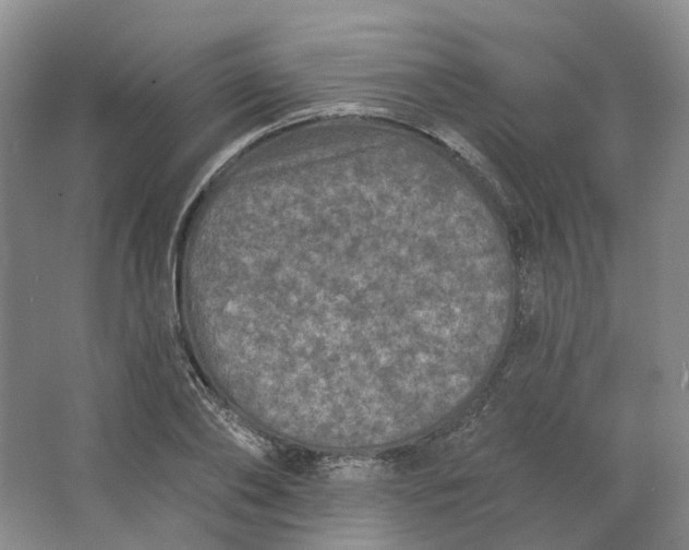 X0000062790886200601051043