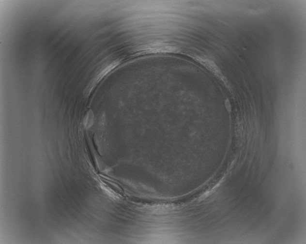 X0000062790889200601051043