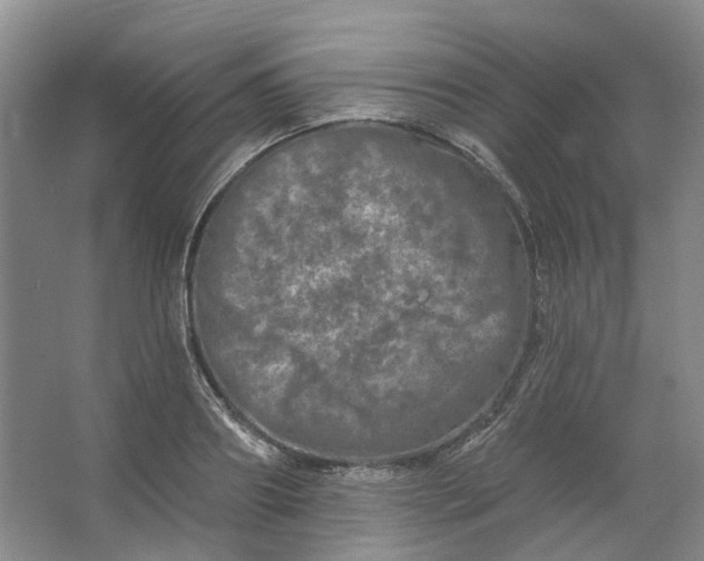 X0000062790890200601051043