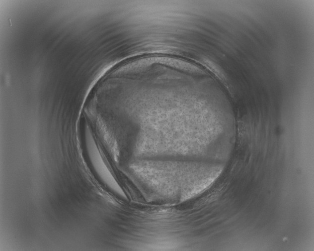 X0000062790891200601051043