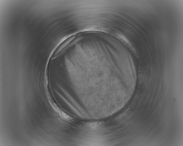 X0000062790892200601051043