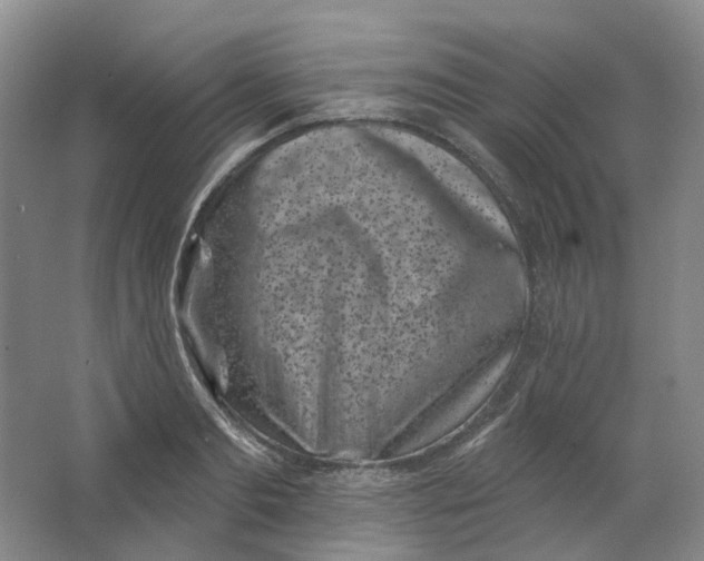 X0000062790893200601051043