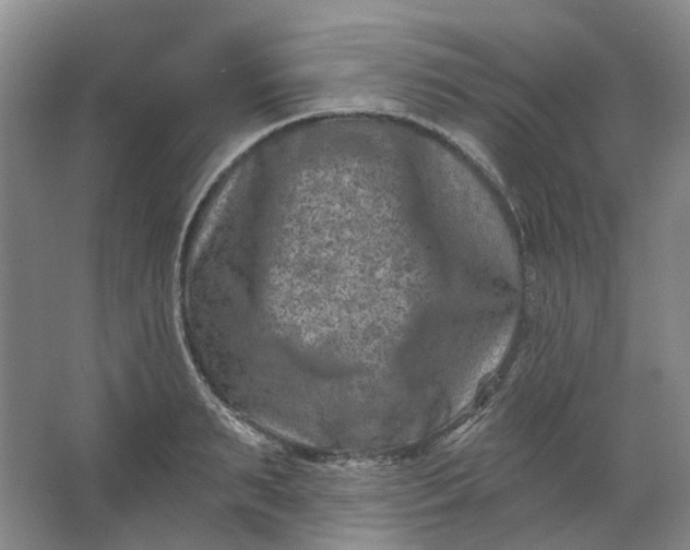 X0000062790895200601051043