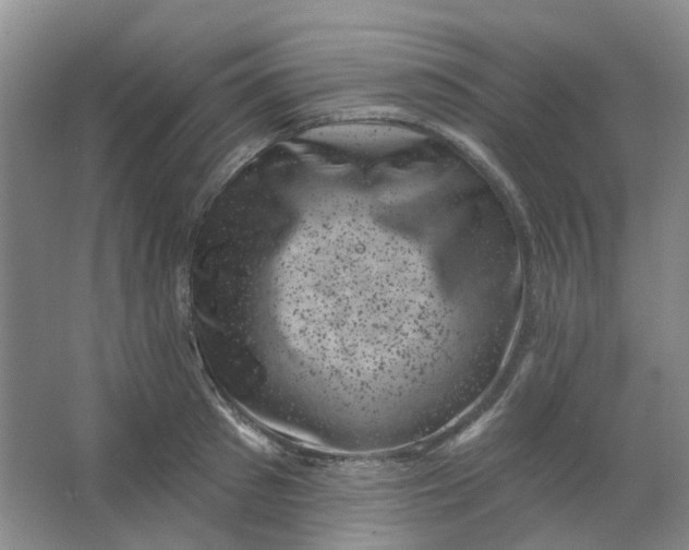 X0000062790897200601051042