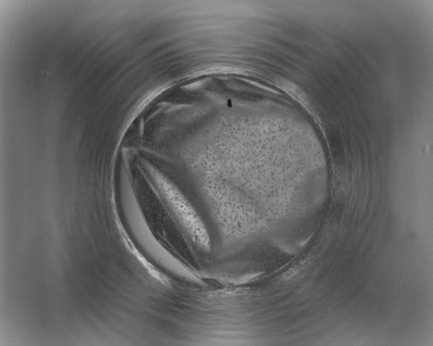 X0000062790898200601051042