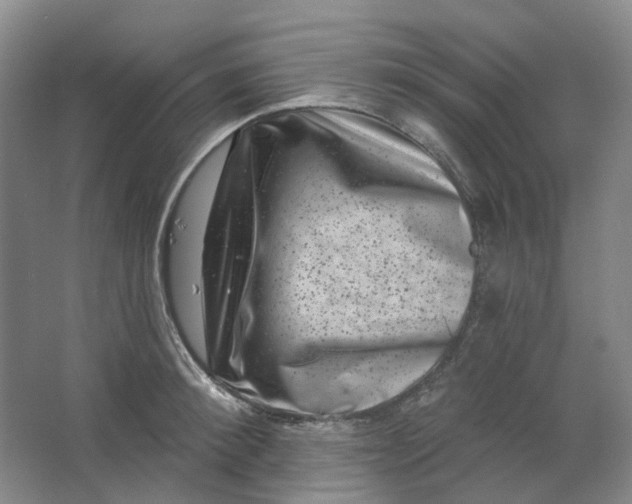 X0000062790900200601051042