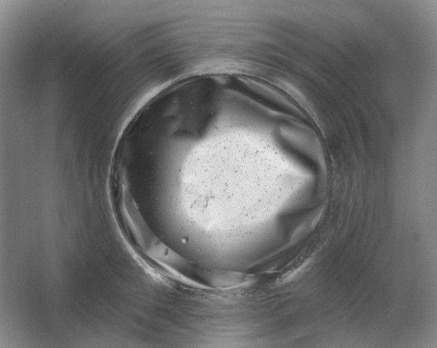 X0000062790901200601051042