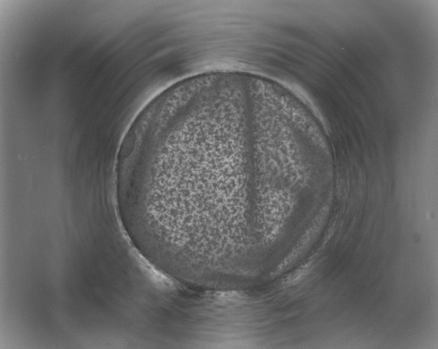 X0000062790903200601051042