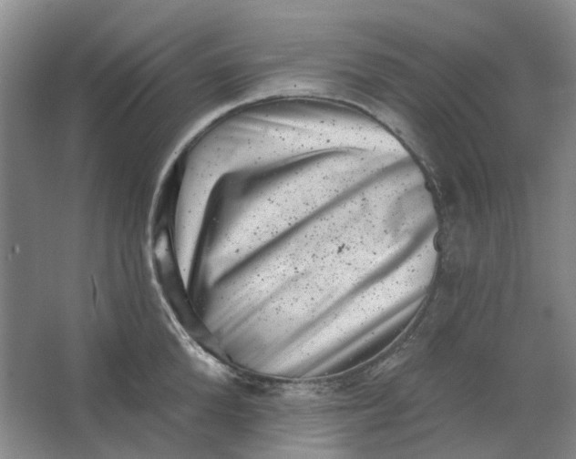 X0000062790904200601051042