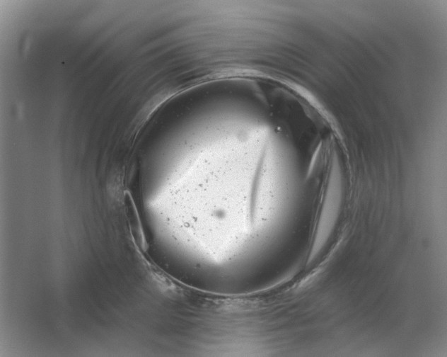 X0000062790905200601051042