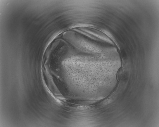 X0000062790906200601051042