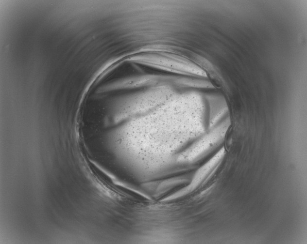 X0000062790908200601051042