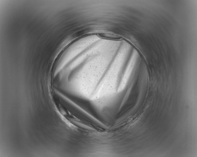 X0000062790909200601051042