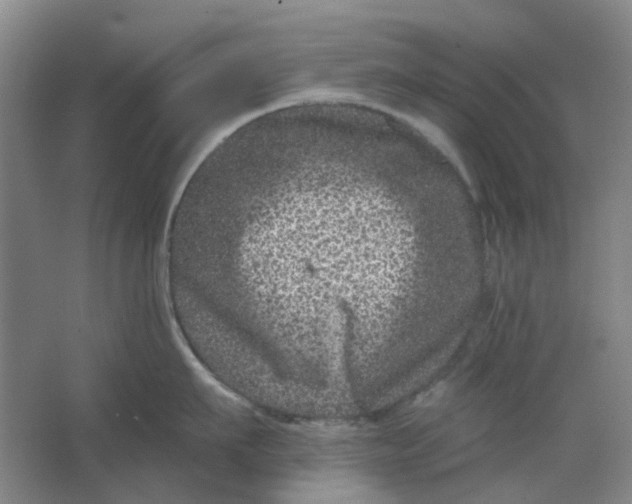 X0000062790911200601051042