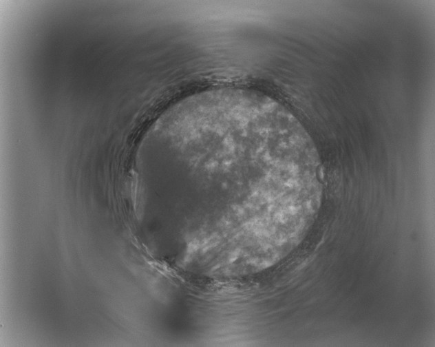 X0000062790913200601051041