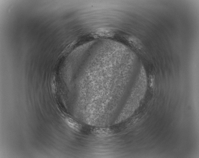 X0000062790915200601051041