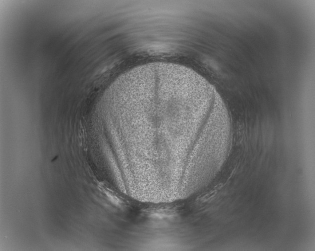 X0000062790917200601051041