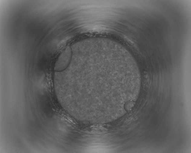 X0000062790918200601051041