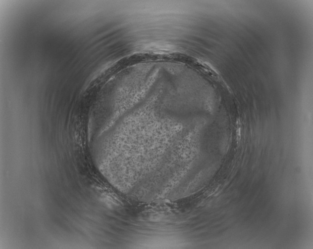 X0000062790919200601051042