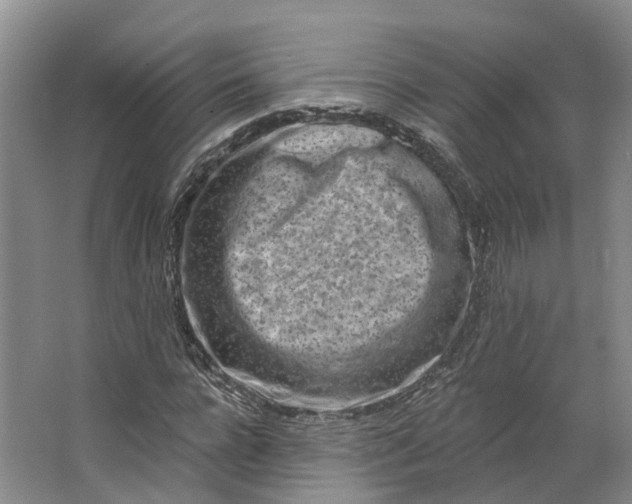 X0000062790920200601051042