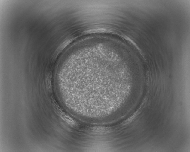 X0000062790921200601051042