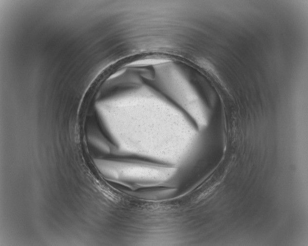 X0000062790924200601051042