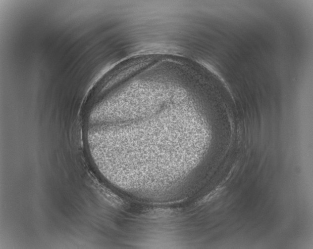 X0000062790925200601051042