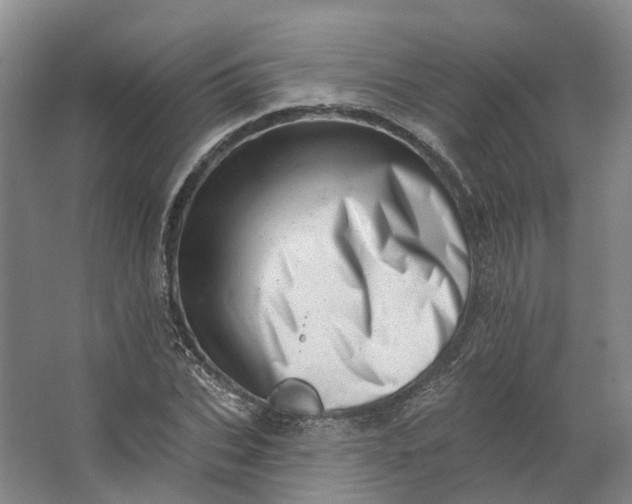 X0000062790927200601051042