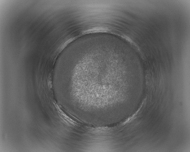 X0000062790929200601051042