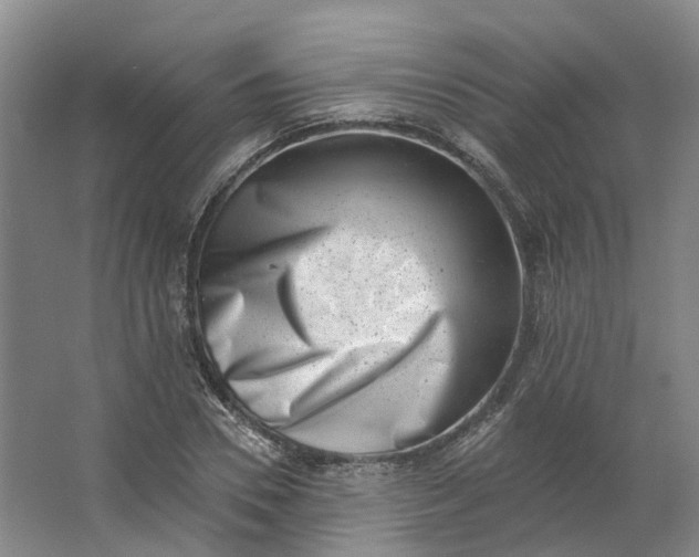 X0000062790930200601051042