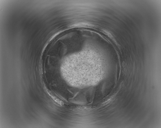 X0000062790931200601051042