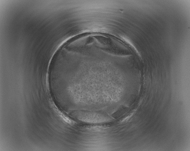 X0000062790932200601051042