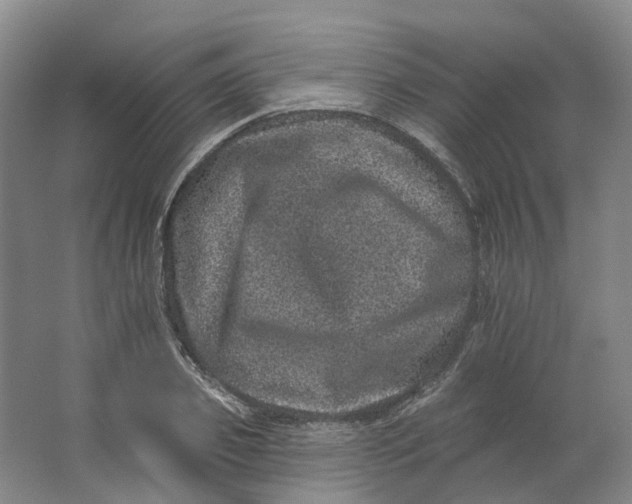 X0000062790933200601051042