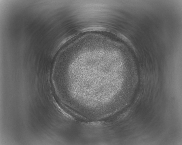 X0000062790937200601051042